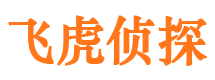 东光侦探